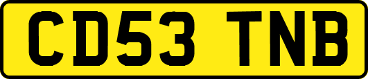 CD53TNB