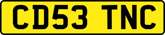 CD53TNC