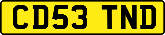 CD53TND