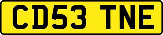 CD53TNE
