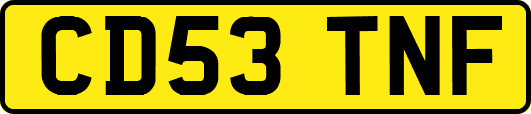 CD53TNF