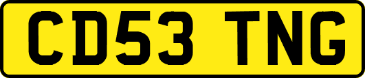 CD53TNG