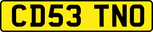 CD53TNO