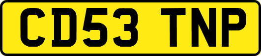CD53TNP