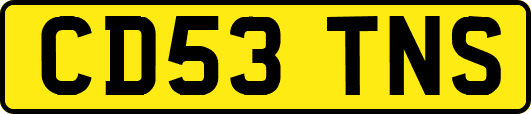 CD53TNS