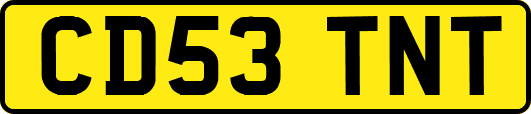 CD53TNT