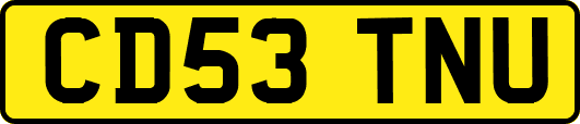 CD53TNU
