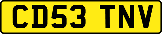 CD53TNV