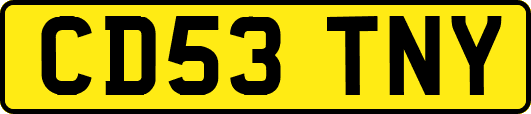 CD53TNY