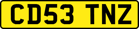 CD53TNZ