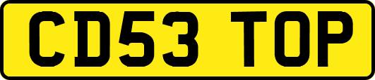 CD53TOP