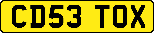 CD53TOX