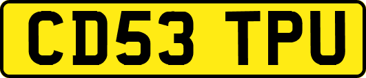 CD53TPU