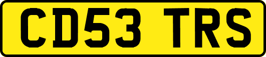 CD53TRS
