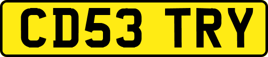 CD53TRY