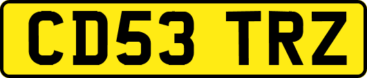 CD53TRZ