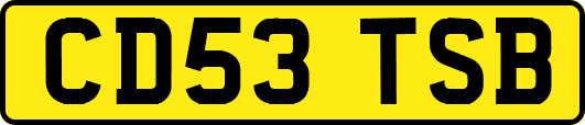 CD53TSB