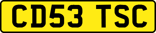 CD53TSC