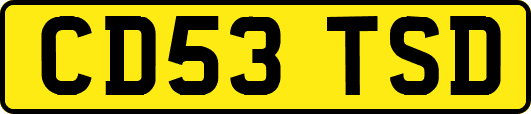 CD53TSD