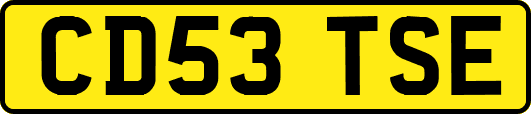 CD53TSE