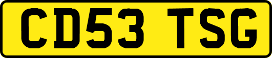 CD53TSG