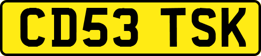 CD53TSK