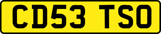CD53TSO