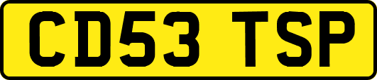 CD53TSP