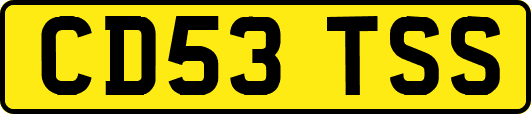 CD53TSS