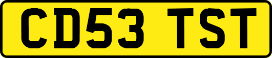 CD53TST
