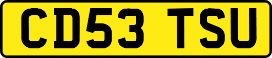 CD53TSU