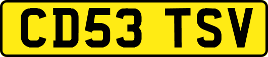 CD53TSV