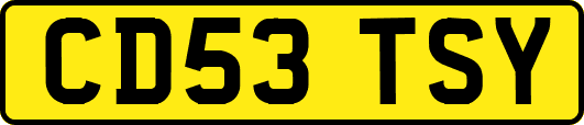 CD53TSY