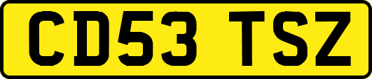 CD53TSZ