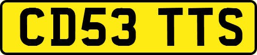 CD53TTS