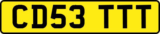 CD53TTT
