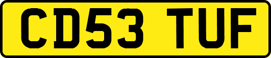 CD53TUF