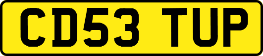 CD53TUP
