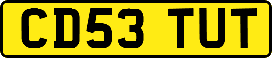 CD53TUT