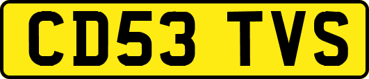 CD53TVS