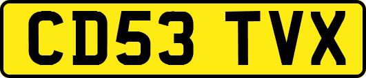 CD53TVX