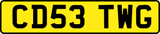 CD53TWG