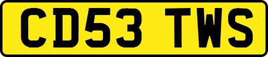 CD53TWS