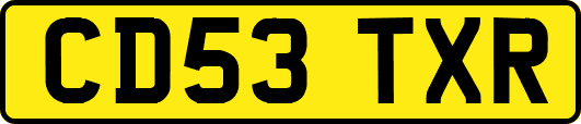 CD53TXR