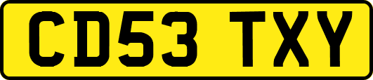 CD53TXY