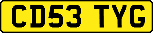 CD53TYG