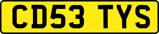 CD53TYS