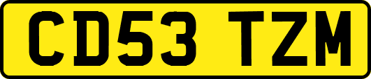 CD53TZM