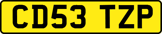 CD53TZP