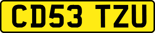 CD53TZU